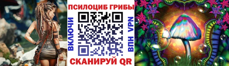 Псилоцибиновые грибы Psilocybe  Купить  Октябрьск 